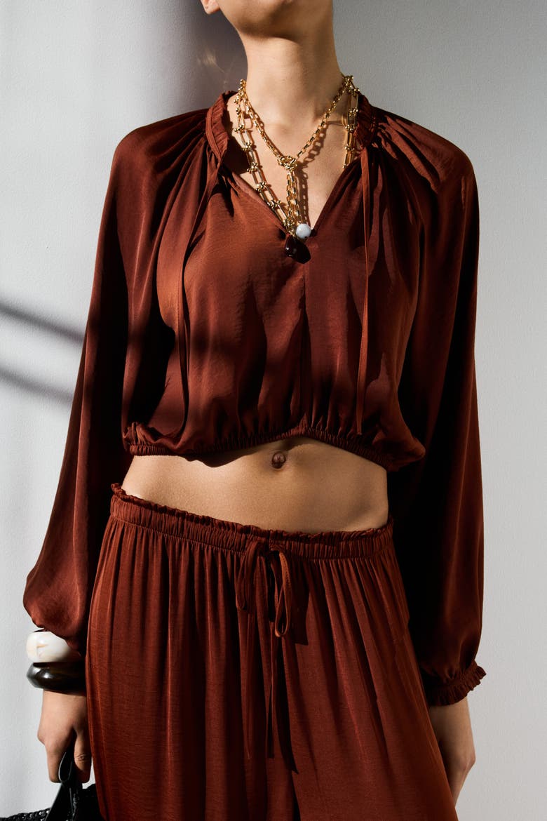 Balloon-sleeved Blouse, Alternate, color, Rust brown