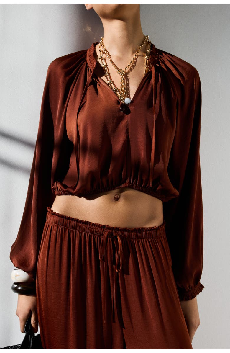 H&M Balloon-sleeved Blouse, Alternate, color, Dark Brown