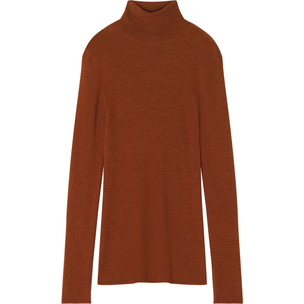 Lanvin Turtleneck Sweater In Merino Wool And Silk In Brown