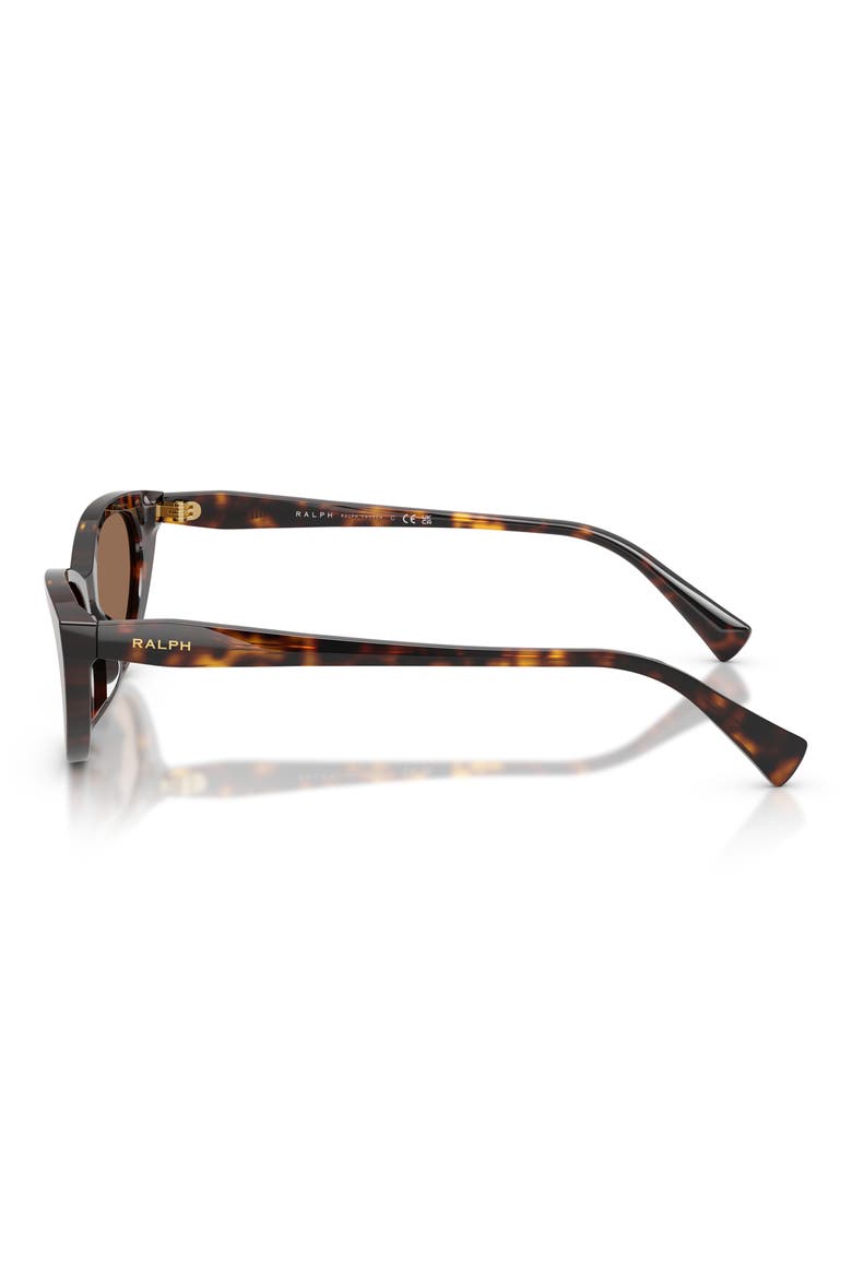 53mm Gradient Cat Eye Sunglasses, Alternate, color, SHINY DARK HAVANA / BROWN