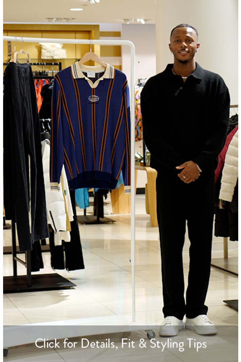 Import Embroidered Stripe Polo Sweater video