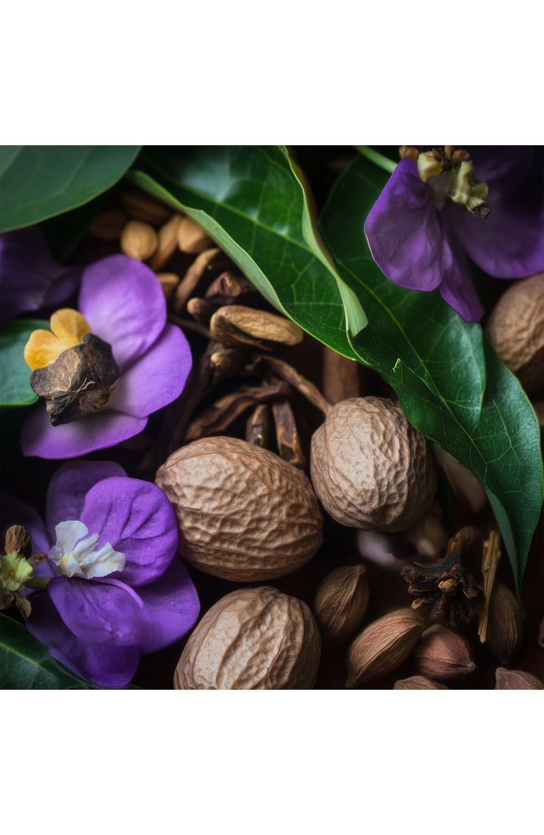 House of Sillage Arabesque Collection Bleu-Gris Travel Case & Emerald Reign Fragrance Gift Set, Alternate, color, 