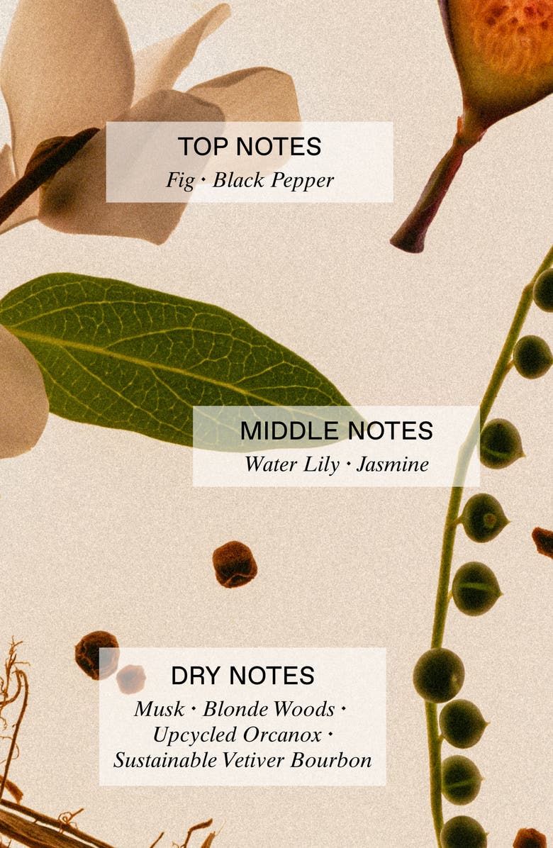 HENRY ROSE London 1983 Eau de Parfum, Alternate, color, 