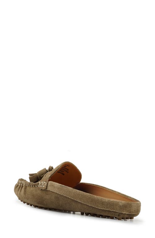 National Comfort Tal Tassel Mule In Taupe Suede