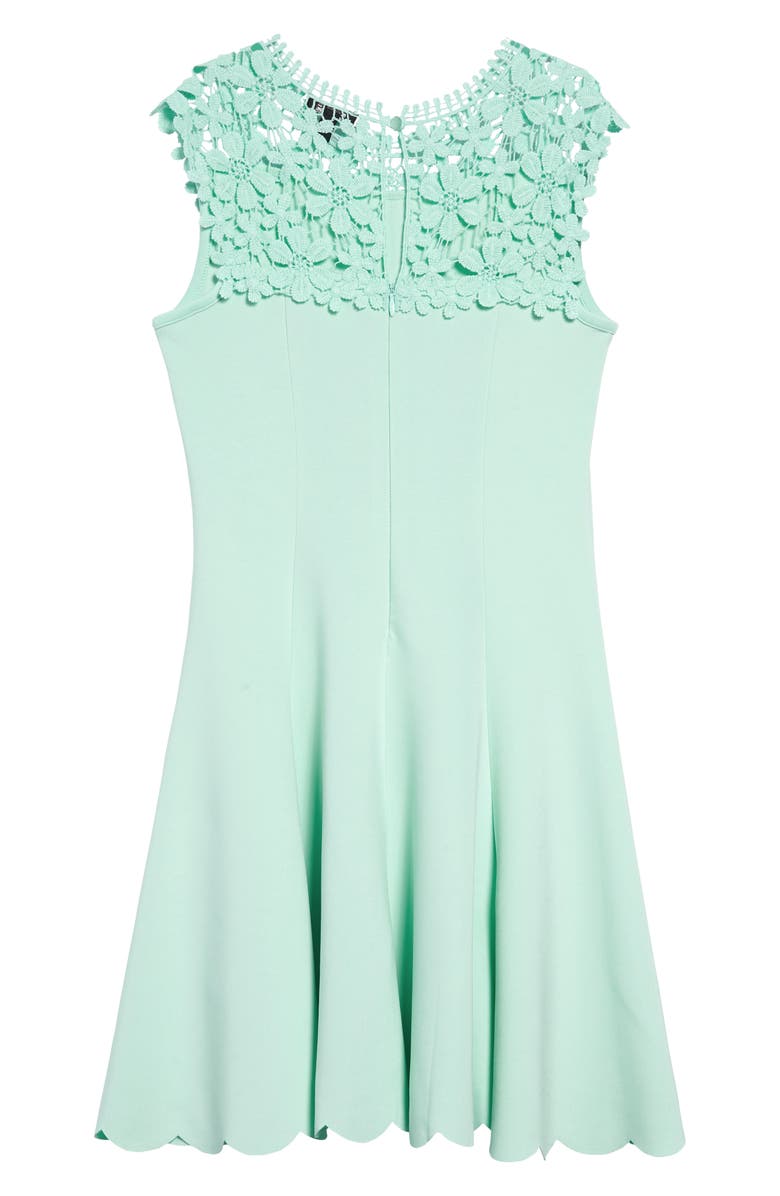 Zunie Lace Yoke Sleeveless Dress, Alternate, color, 