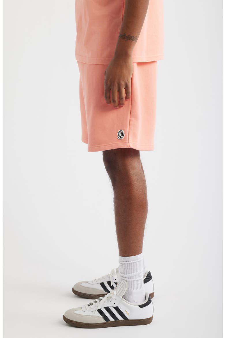Karat Cotton Shorts, Alternate, color, PEACH AMBER