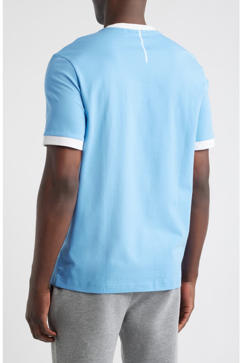Lux Stretch Cotton Graphic T-Shirt, Alternate, color, ARGENTINA