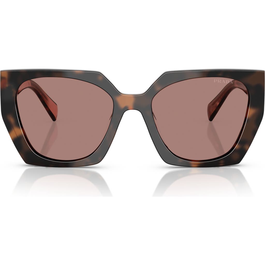 Prada Square-frame Sunglasses In Light Brown