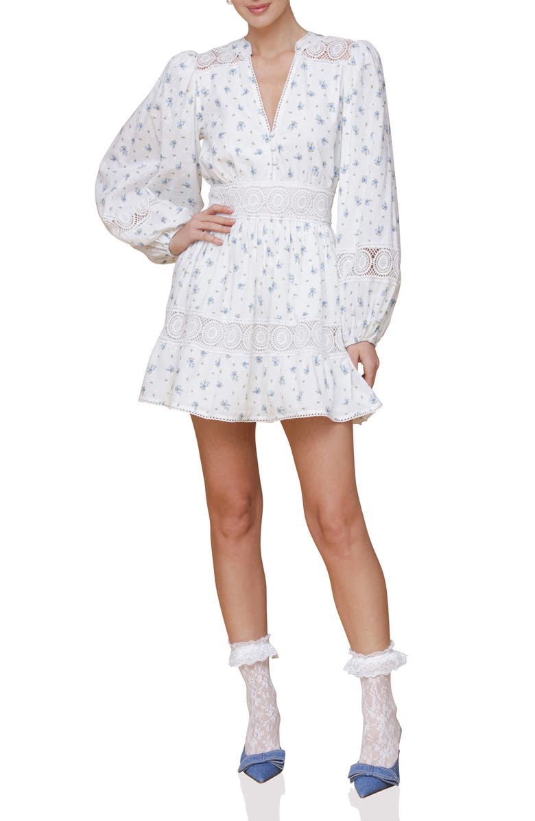 Avec Les Filles Lace Trim Long Sleeve Cotton Minidress, Main, color, Scattered Ditsy