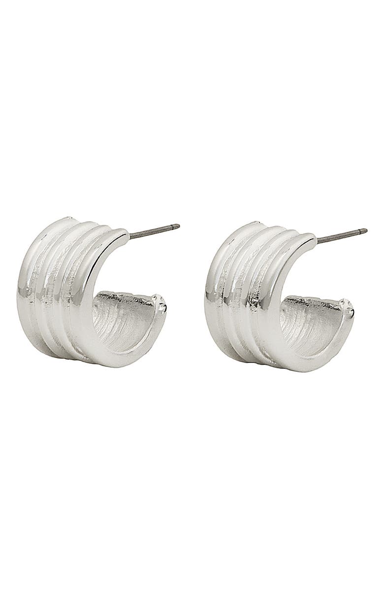 Panacea Etched Hoop Earrings, Main, color, 