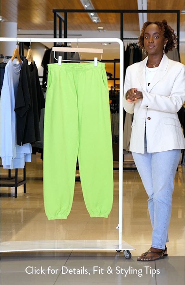 Gender Inclusive Heavy Fleece Sweatpants, sales video thumbnail