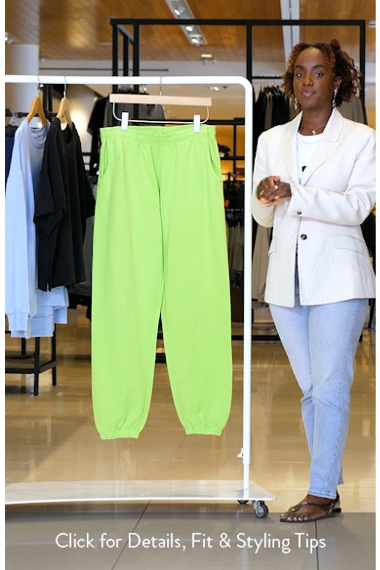 Gender Inclusive Heavy Fleece Sweatpants video