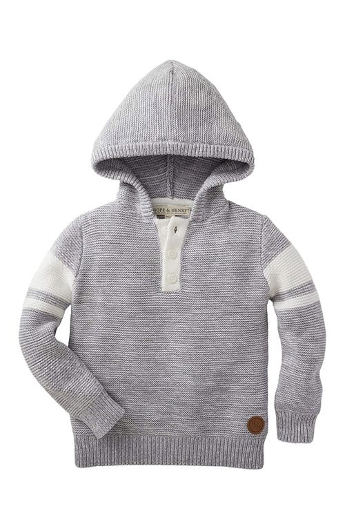 Hope & Henry Baby Boys' Hooded Pullover Sweater, Infant in Grey  product