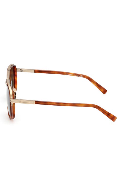 Zegna Men's 59mm Square Metal Sunglasses In Shiny Classic Havana