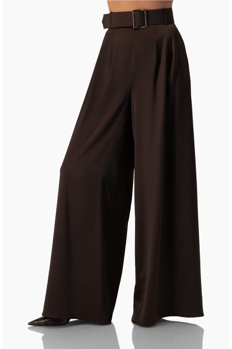 Wide-Leg Satin Trousers, Alternate, color, Brown