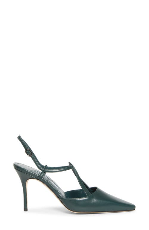 Manolo Blahnik Minia Pointy Toe T-bar Pump (women0 In Green