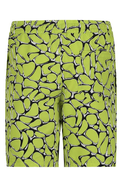 Quiksilver Everyday Solid Volley Swim Trunks In Green