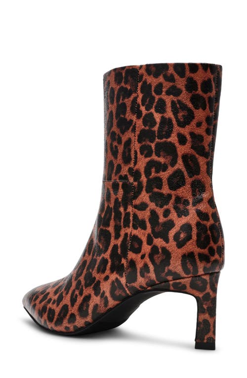 Dolce Vita Dv By Gradie Kitten Heel Boot In Brown
