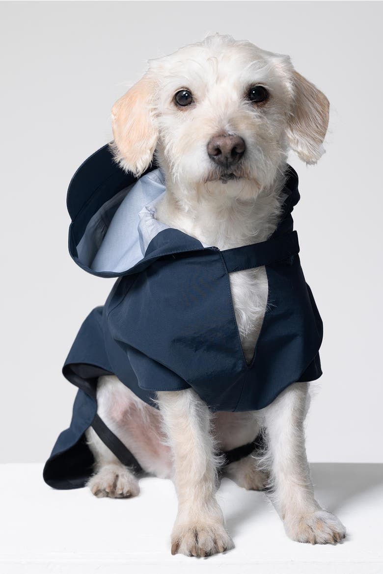 Trail Hound Rain Vest, Main, color, Navy