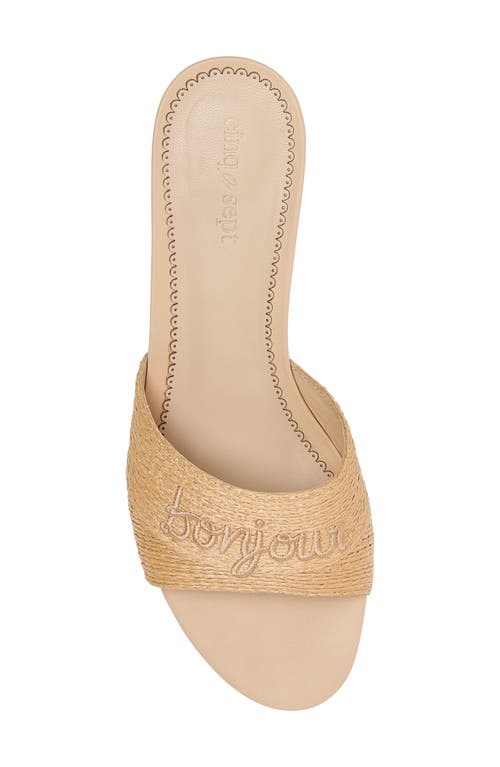 Cinq À Sept Cinq A Sept Women's Dani Slide Sandals In Natural Raffia