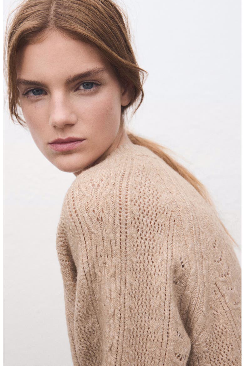 Pointelle Crewneck Sweater, Alternate, color, MEDIUM BROWN
