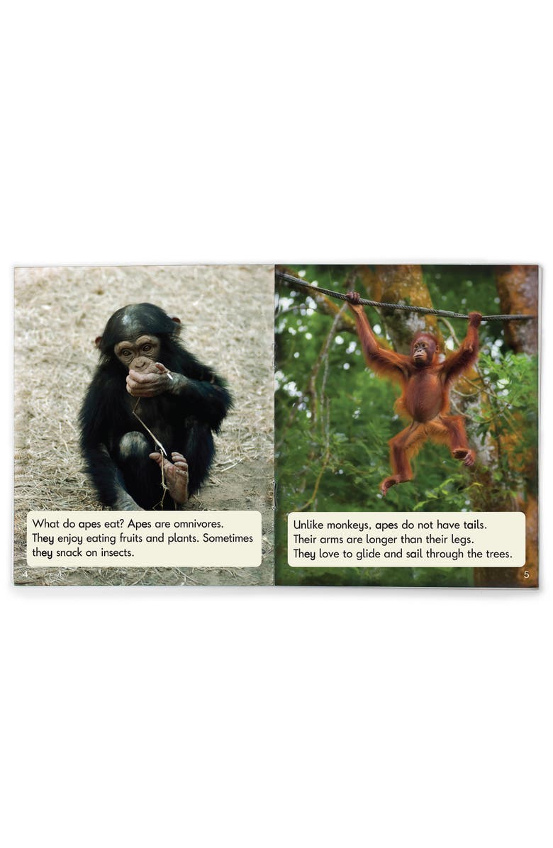 Junior Learning Decodable Readers Sound Families, Alternate, color, Multicolored