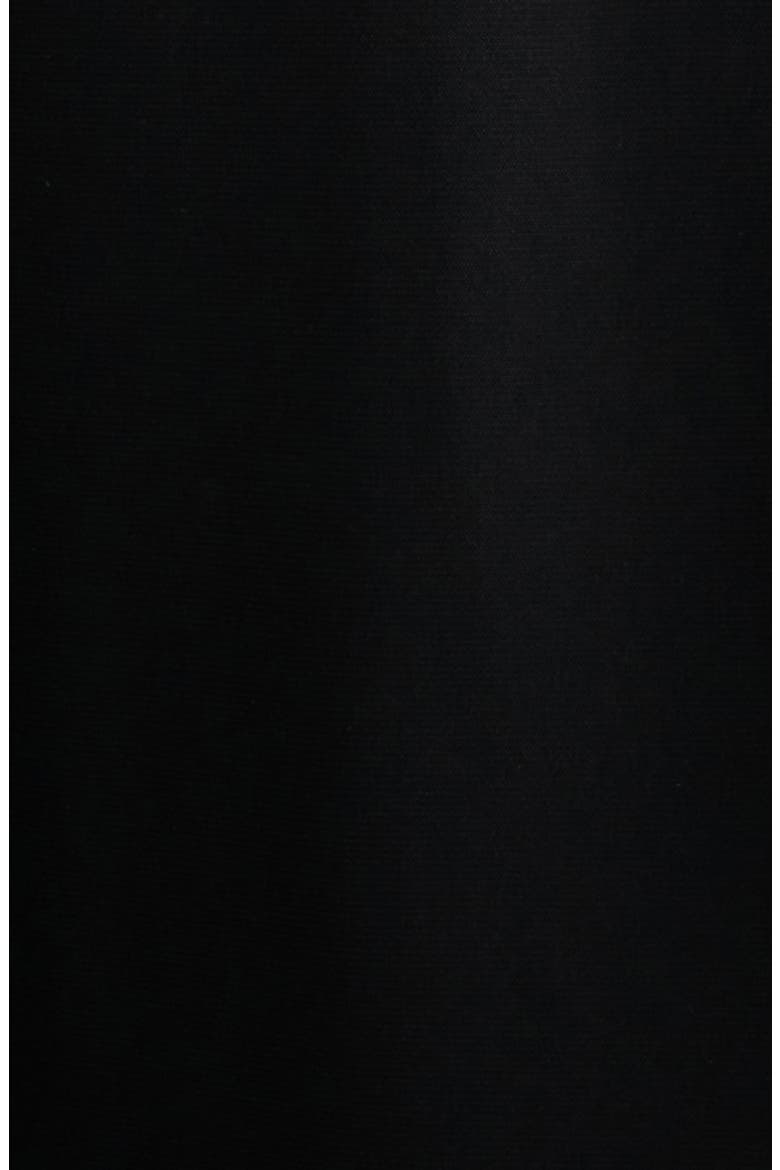 Pleated Wide Leg Pants, Alternate, color, ANNE BLACK