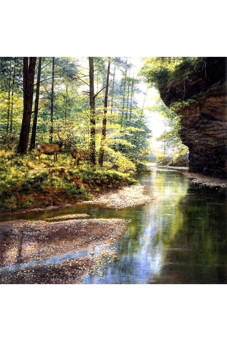Quiet Forest 1000 piece Jigsaw Puzzle for Adults, Alternate, color, Multicolor