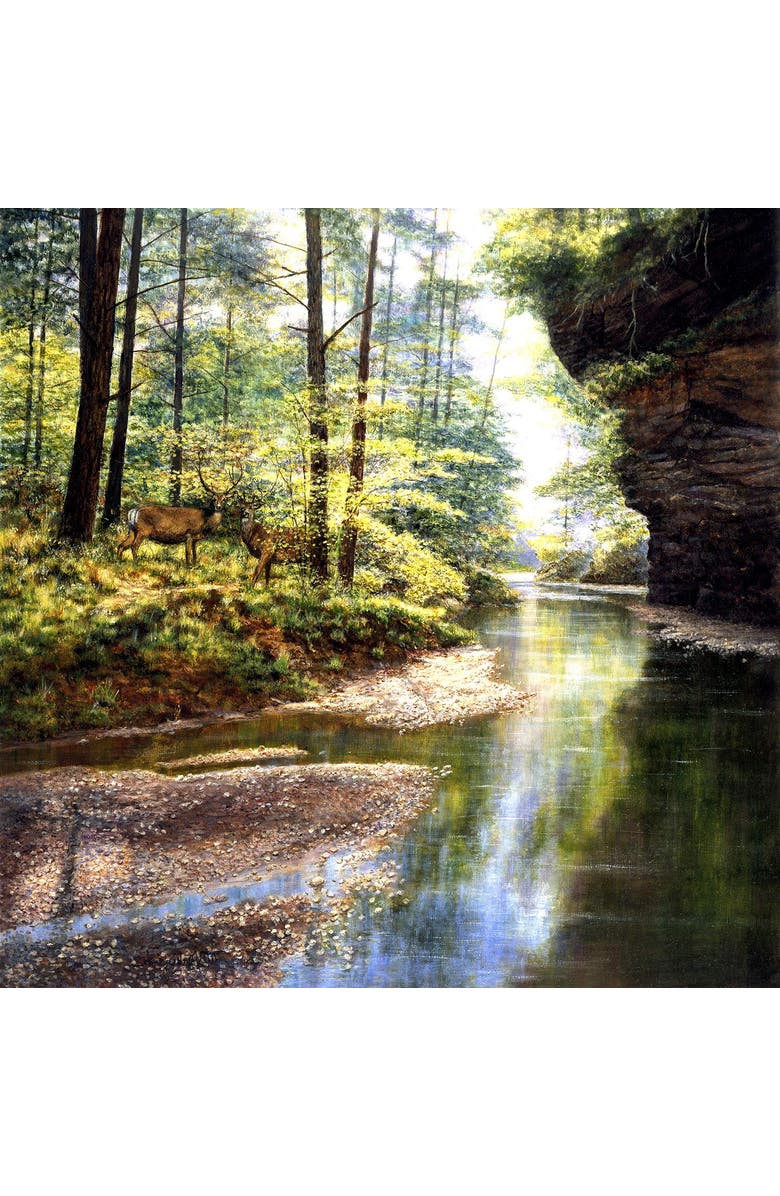 Sunsout Quiet Forest 1000 piece Jigsaw Puzzle for Adults, Alternate, color, Multicolor