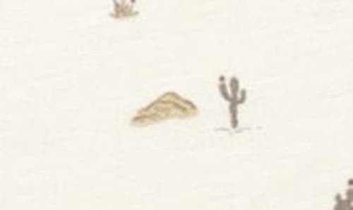 Rylee + Cru Kids' Cactus Print T-shirt & Joggers Set In Neutral