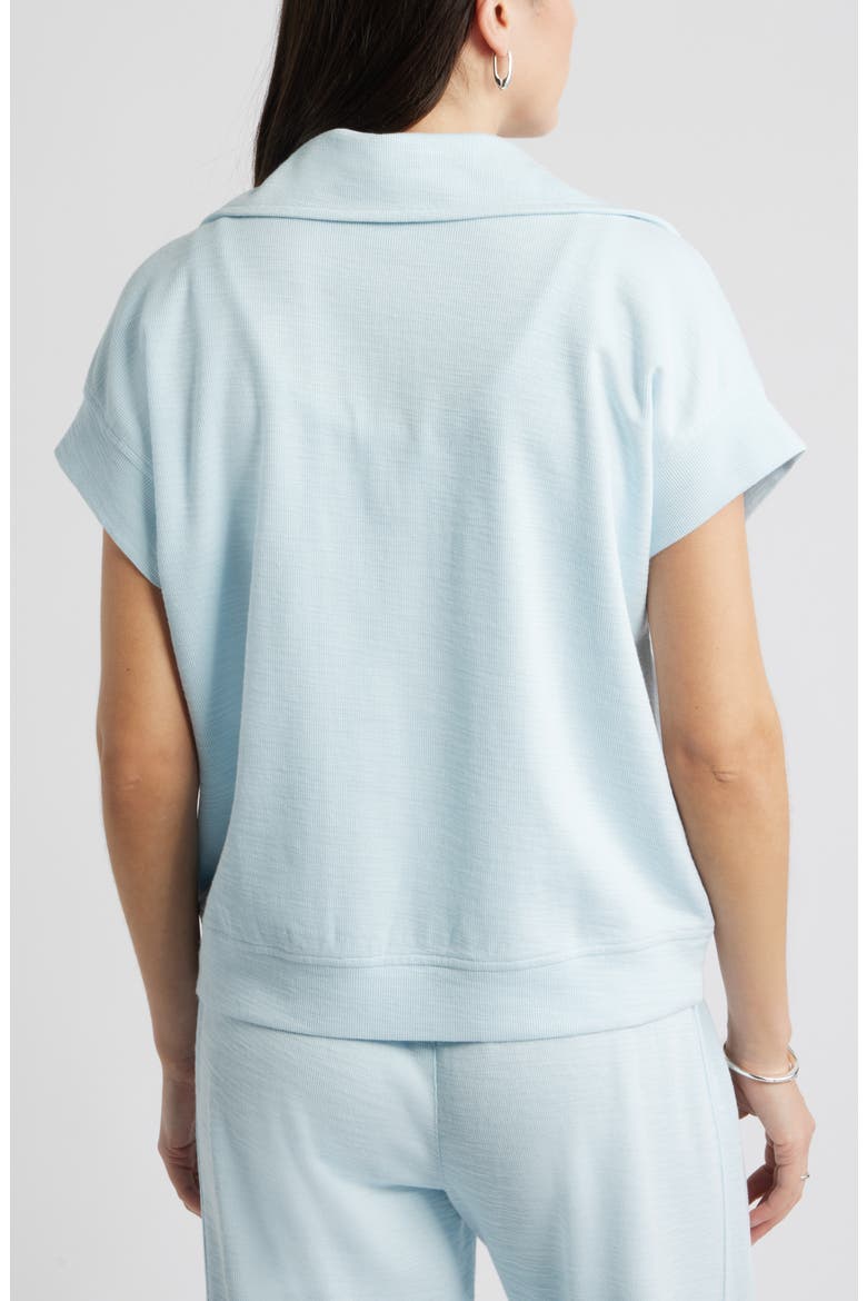 Short Sleeve Quarter Zip Sweatshirt, Alternate, color, BLUE DELICATE