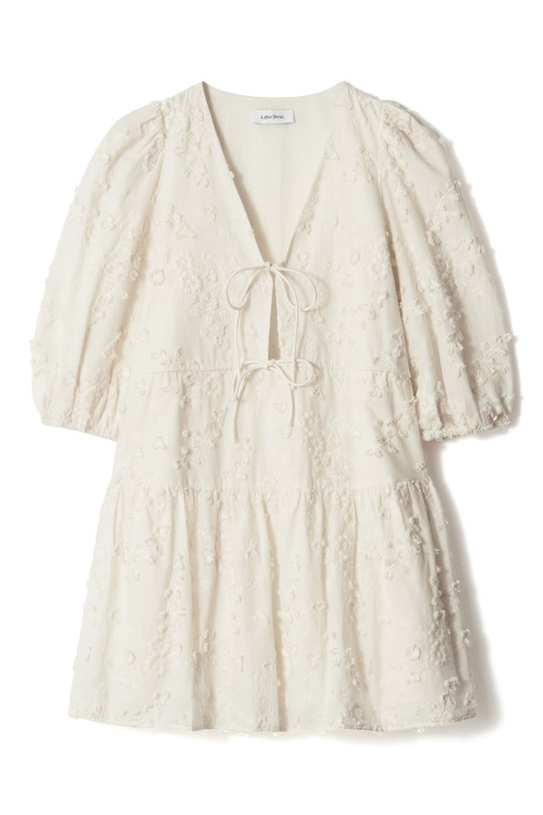 Embroidered Puff Sleeve Cotton Mini Sundress, Alternate, color, CREAM DUSTY LIGHT