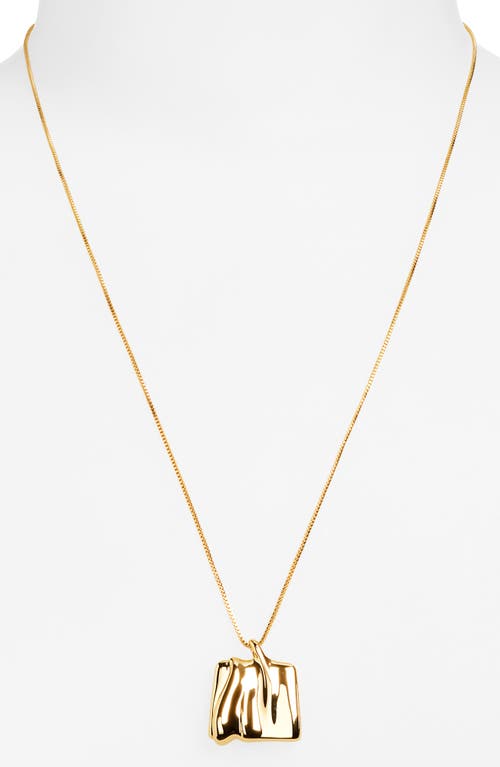 Jenny Bird Sundra Pendant Necklace In Brown