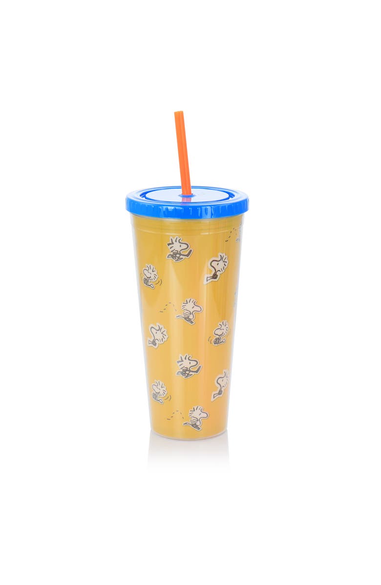 Gibson 70th Anniversary 4 Piece Plastic 23.6oz Tumbler set with Lid and Straw, Alternate, color, Clear