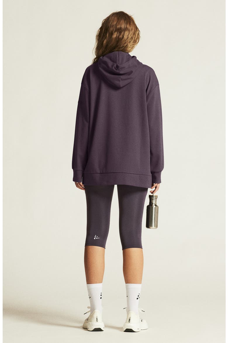 ADV Join Jersey Hooded Pullover, Alternate, color, DARK PLUM