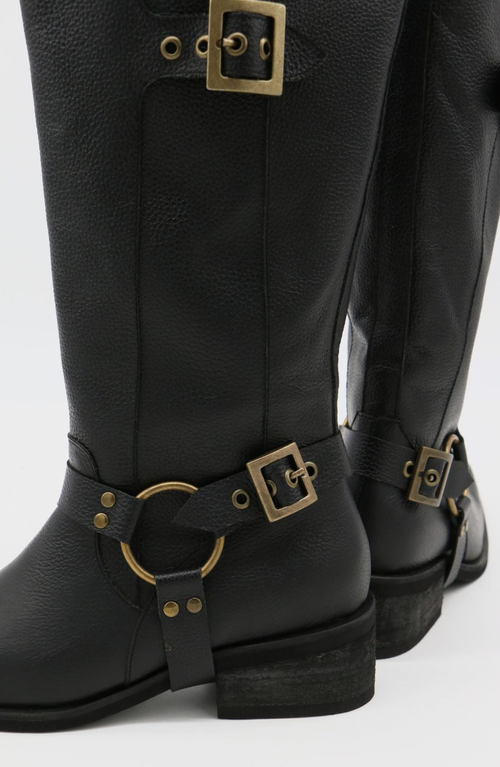 Stivali New York Naomi Moto Boots In Multi