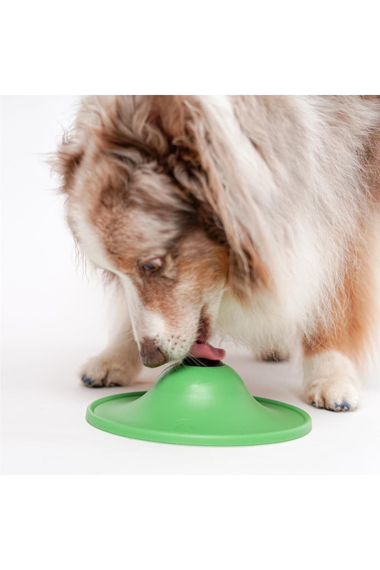 Soothing Saucer For Dogs, Alternate, color, Multicolored
