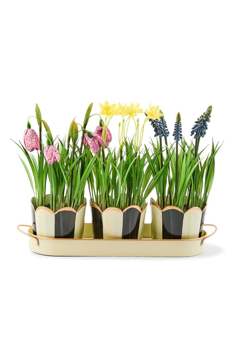 MACKENZIE CHILDS Courtly Stripe Triple Potted Blooms, Main, color, Green