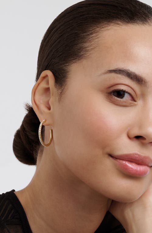 Ted Baker Clanci Medium Crystal Hoop Earrings In Gold