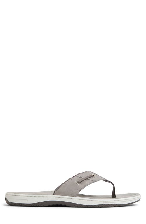 Sperry Baitfish Flip Flop In Light Grey