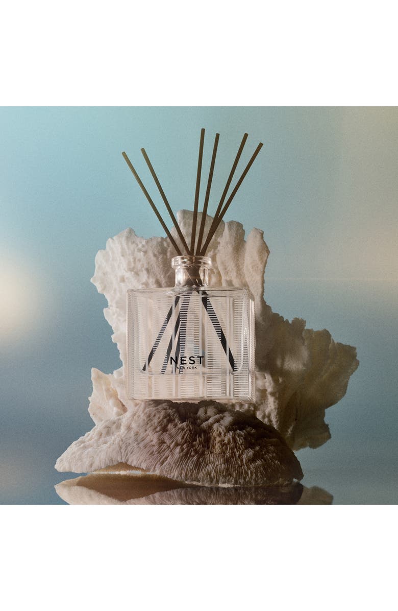 NEST New York Ocean Mist & Sea Salt Reed Diffuser, Alternate, color,