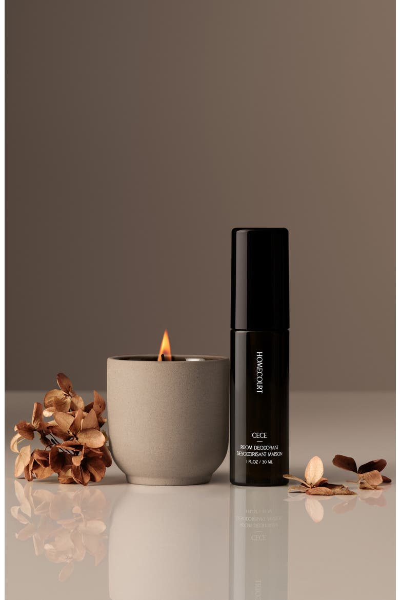 Mini Cece Aircare Duo $50 Value, Alternate, color, NO COLOR