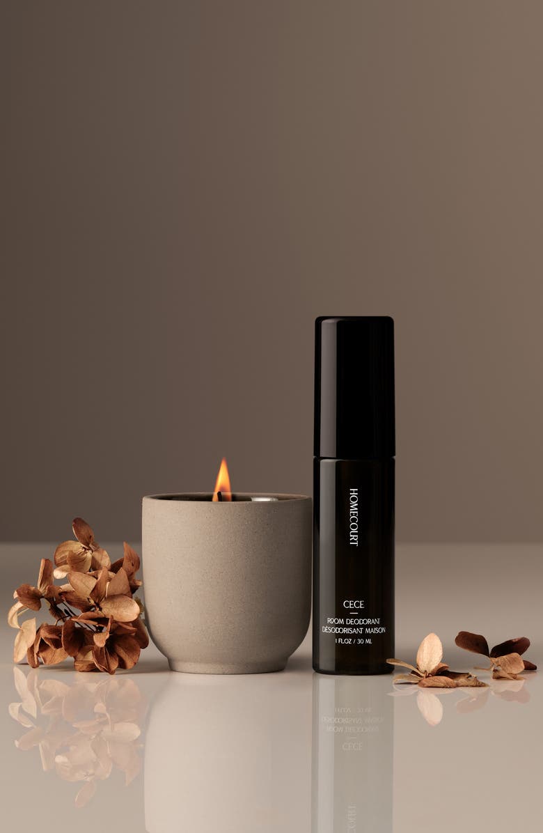 Homecourt Mini Cece Aircare Duo $50 Value, Alternate, color, 