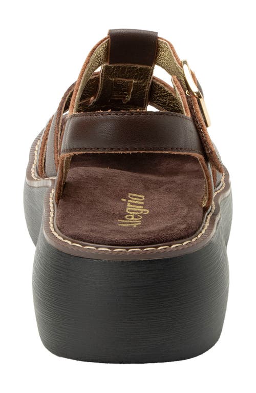 Alegria By Pg Lite Ingrid Ankle Strap Platform Fisherman Sandal In Brown