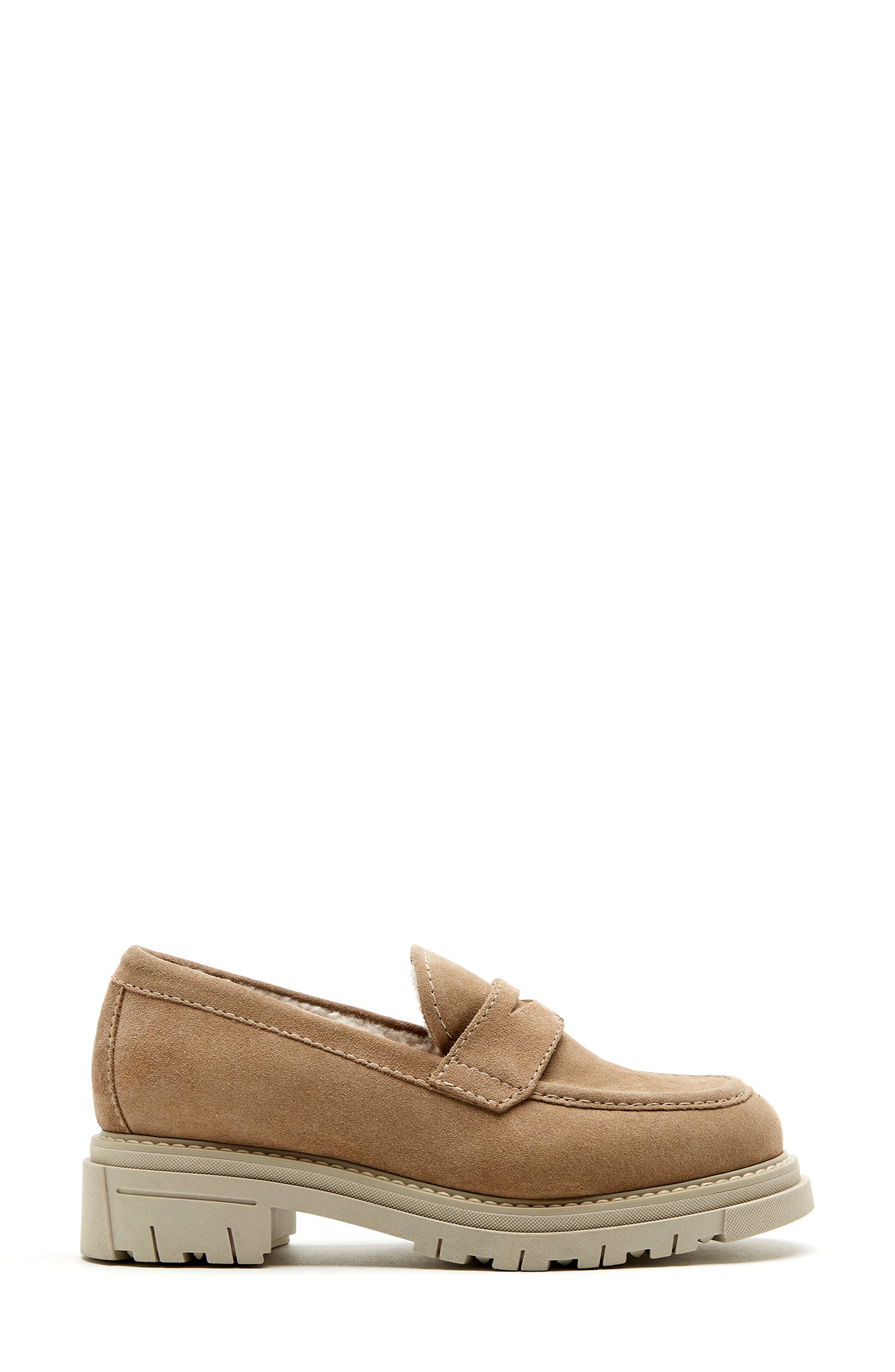 Devin City Dry™ Waterproof Penny Loafer, Alternate, color, BISCOTTI SUEDE