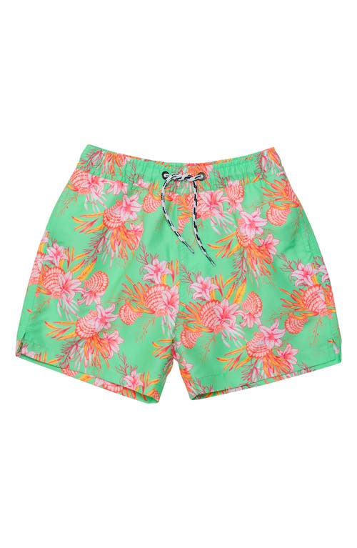 Snapper Rock Boys' Coastal Shells Sustainable Swim Short - Little Kid, Big Kid In Green