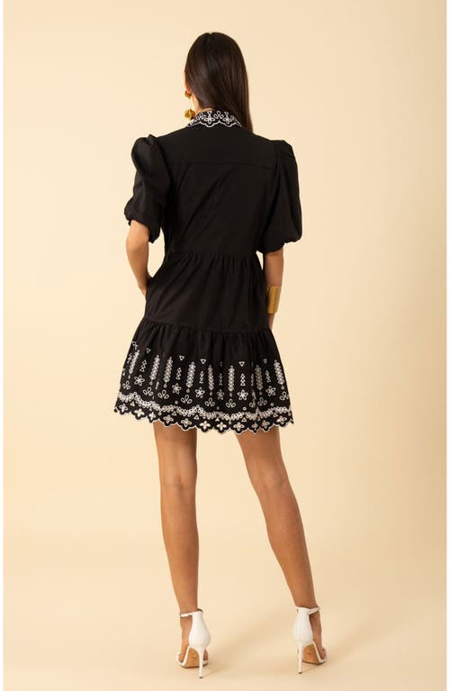 Hale Bob Rayna Embroidered Poplin Dress In Brown