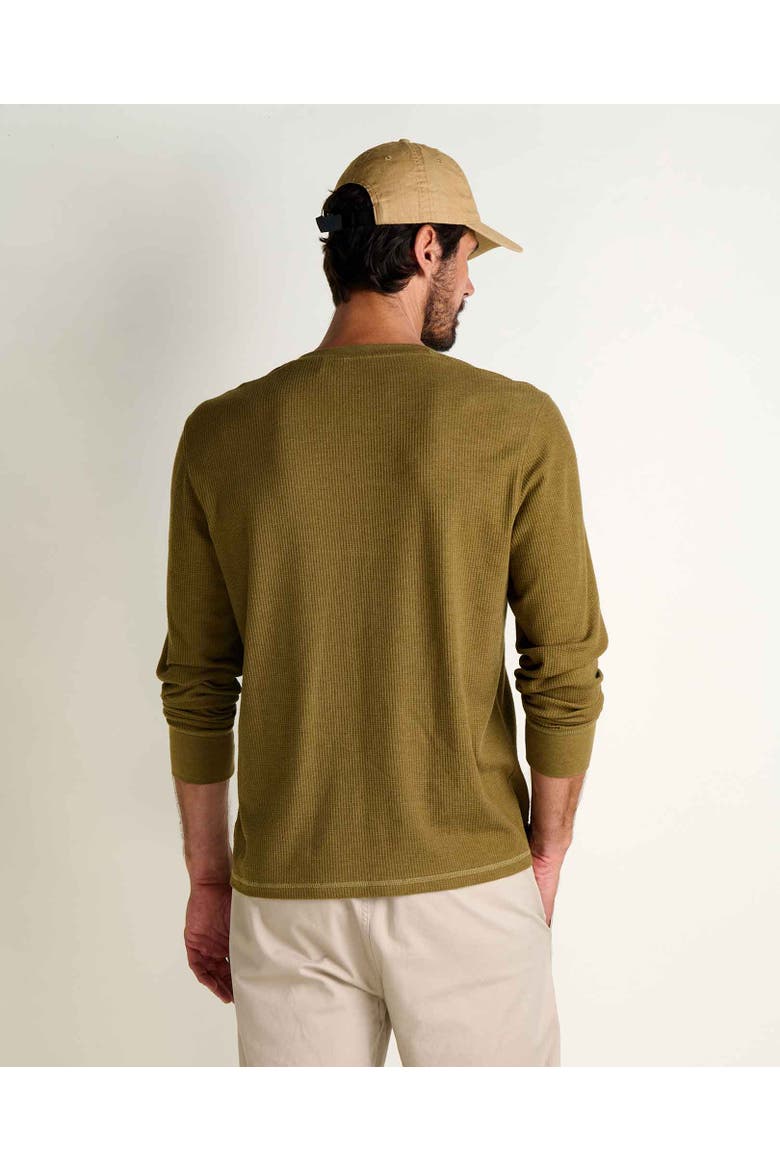 Framer Long Sleeve Henley, Alternate, color, Fir