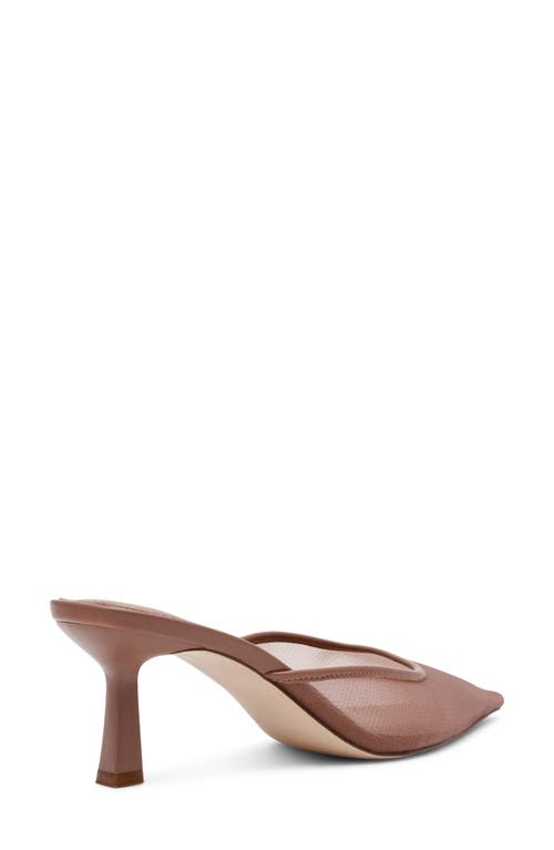 Steve Madden Lisbeth Pointed Toe Mule