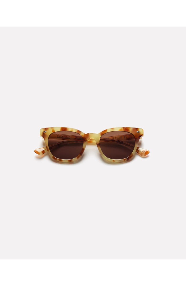 Epokhe Dylan XS Sunglasses, Alternate, color, Hazel